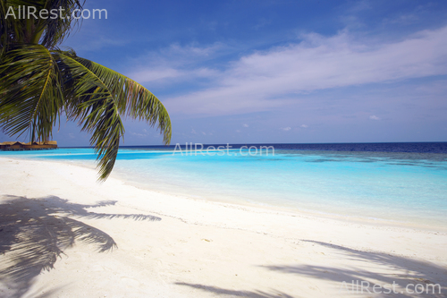 Lily Beach Resort & Spa 24